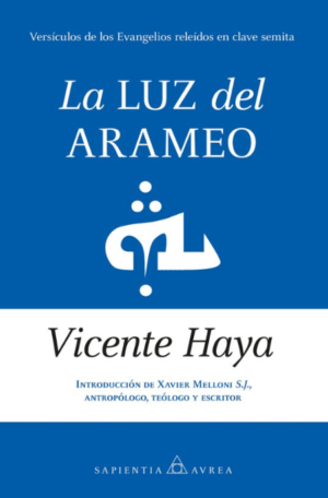 La luz del arameo - Vicente Haya